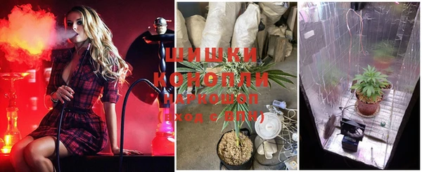 эйфоретик Богородицк